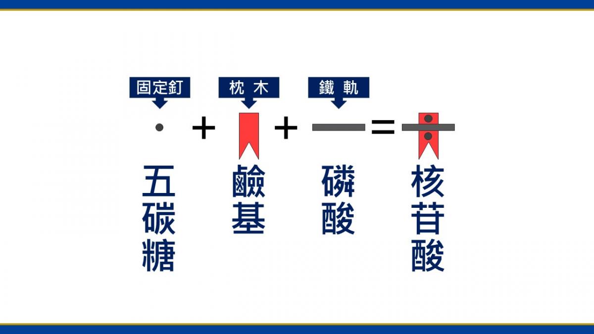 Total Swiss以完全均衡營養為核心、以不留貧病在人間為願景，邁向集團化自動化經營大未來圖細胞營養之1