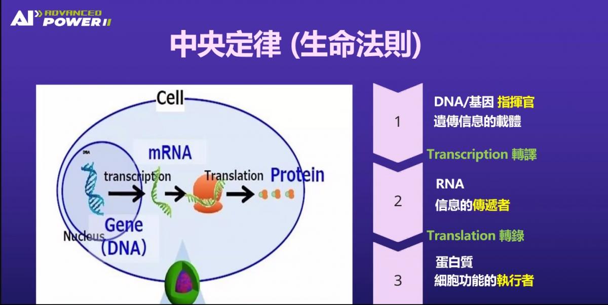 基因女王陳怡芳博士講解AI細胞解碼預知風險機制與避免蛋白質走錯路惹大禍的預防方案圖細胞營養之3