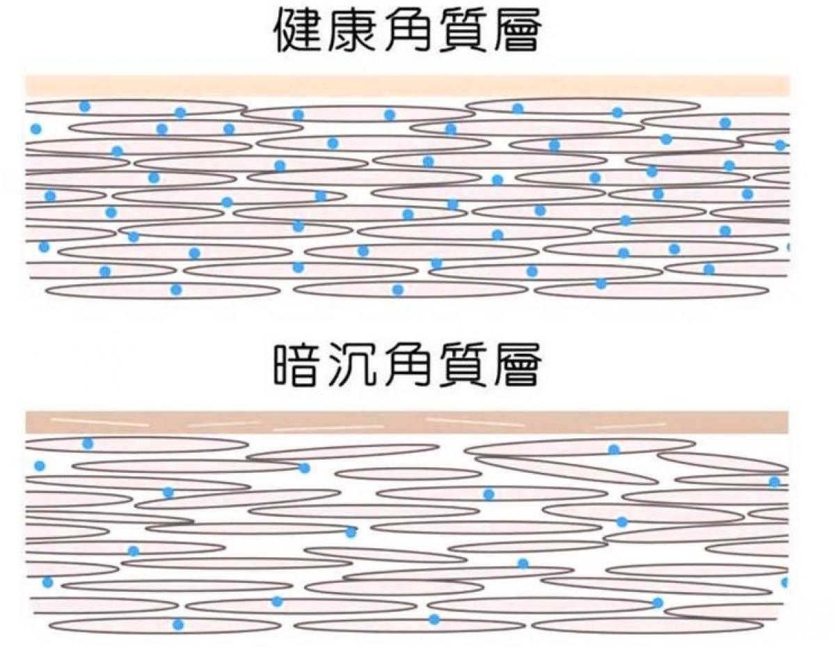 溫故知新，王博士孜孜不倦為全球夥伴複習四項新產品的奧秘以及獨步市場的優勢圖細胞營養之2